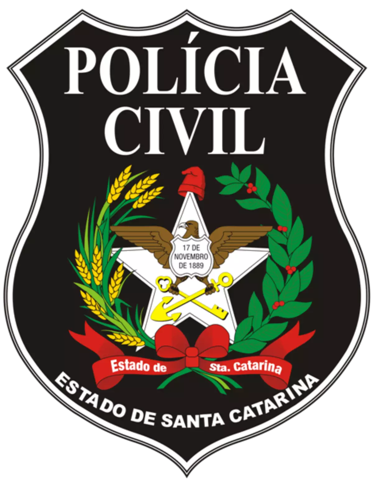 policiacivilscbrasaodiv